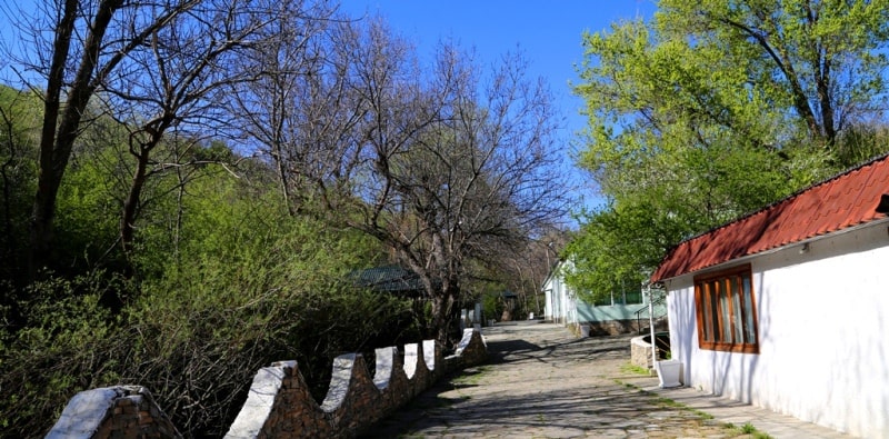 Berkara gorge, vicinity and tulips of Greigi.