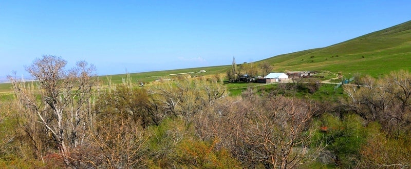 Berkara gorge, vicinity and tulips of Greigi.