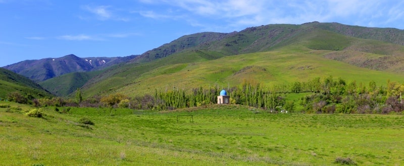 Berkara gorge, vicinity and tulips of Greigi.