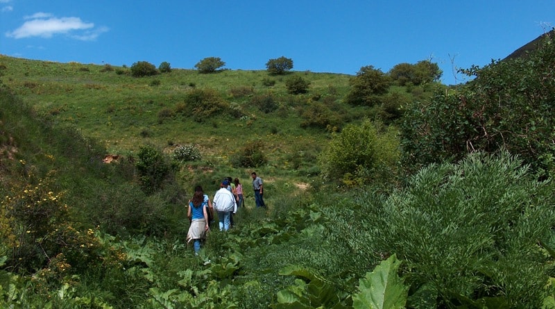 Tourists in reserve Aksu-Zhabagly.