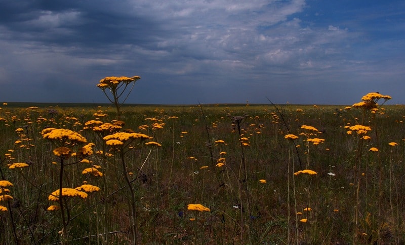 Natural places sights of reserve Aksu-Zhabagly.