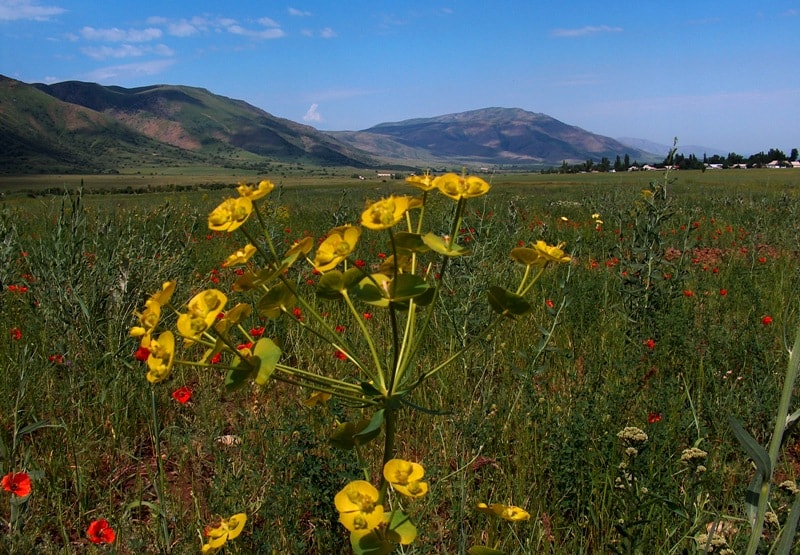 Natural places sights of reserve Aksu-Zhabagly.