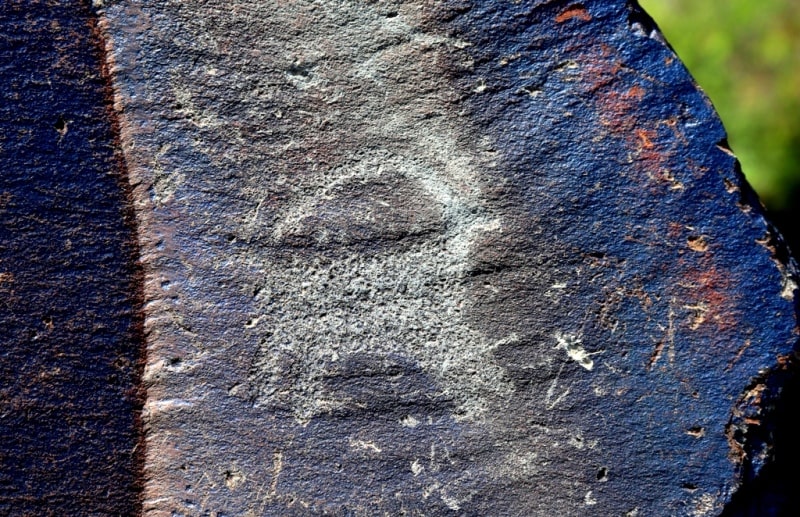 Petroglyphs  the Bayan-Zhurek and vicinities.