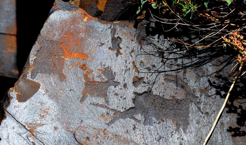 Petroglyphs  the Bayan-Zhurek and vicinities.