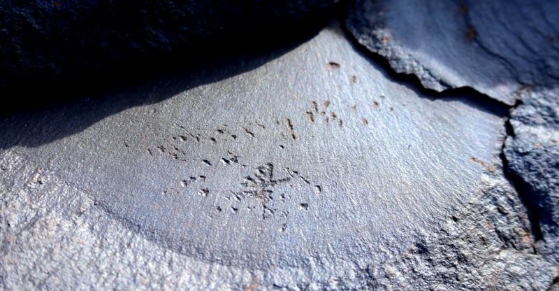 Petroglyphs  the Bayan-Zhurek and vicinities.