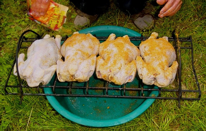 Preparation of chickens in a koktal.