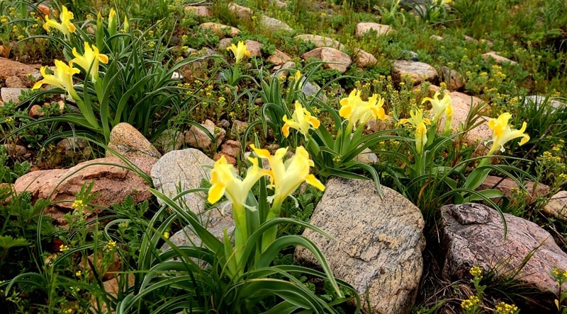 Natural sights of the ridge Ulken-Burul.