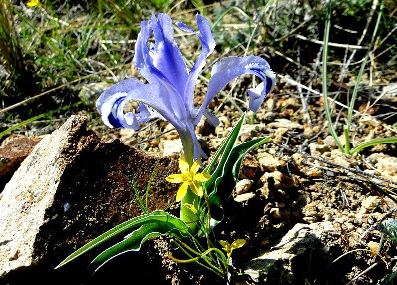 Natural sights of the ridge Ulken-Burul.