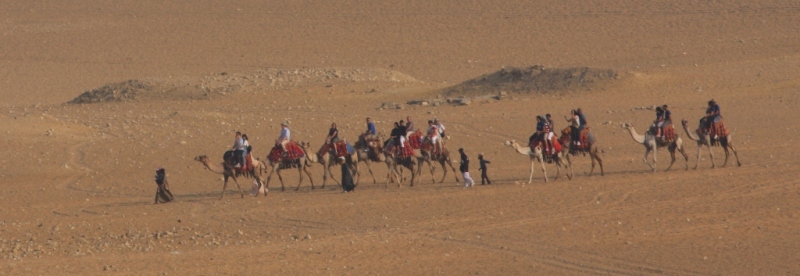 Находятся группы иностранных туристов, которые совершают небольшие прогулки на верблюдах в окрестностях Гизы.