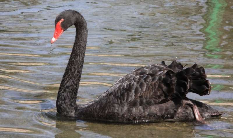 Almaty Zoo.