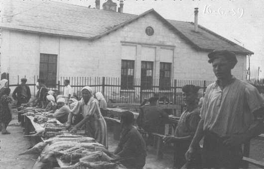 1959 год. Рыбный рынок в Жилгородке возле пекарни ,осетры и севрюги, чёрная икра продавались открыто.