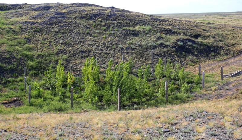 Environs on lake Shagan. Nuclear lake Semipalatinsk nuclear test site.