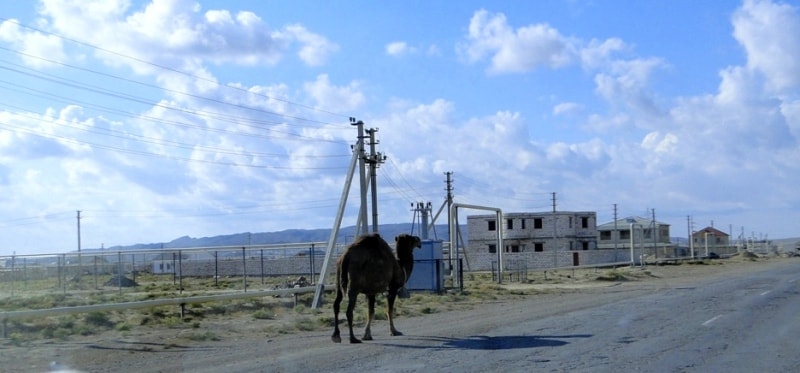 Settlement Shetpe. 