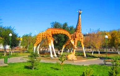 В городском парке. Жирафы.