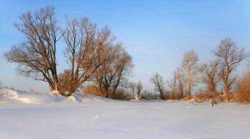 Окрестности села Чернореское. Река Белая.