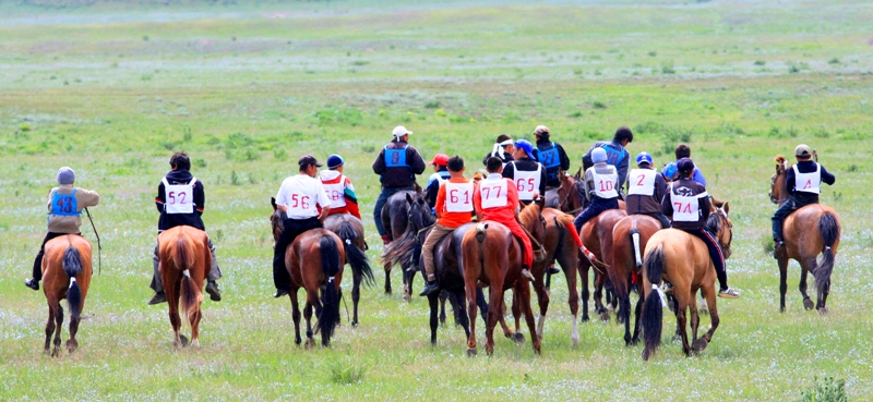 Horse and sports competition of Kazakhs.