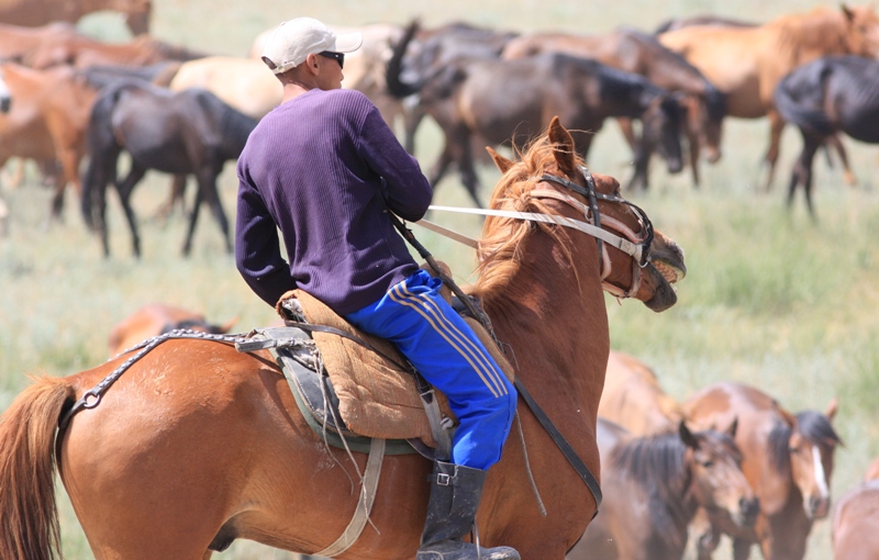 Kumе-alu Kazakh of national game.