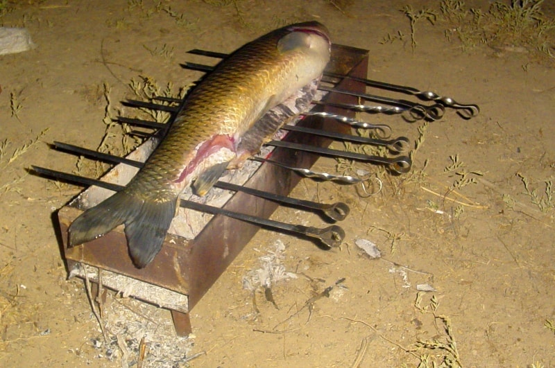 Preparation koktal in Kazakhstan