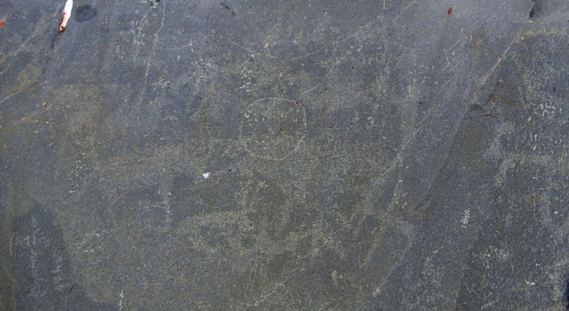 The petroglyphs of Zyngyrtas.