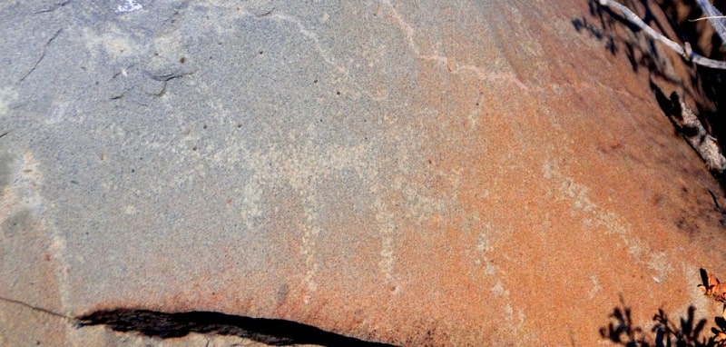 The petroglyphs of Zyngyrtas.