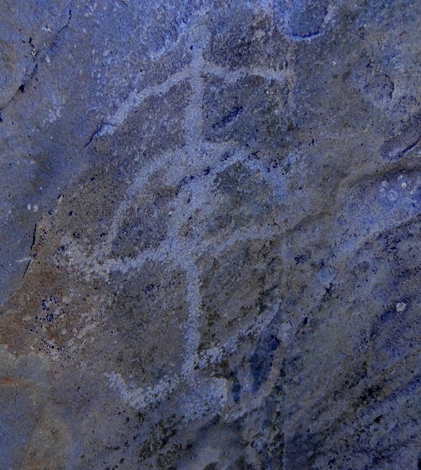 The petroglyphs of Zyngyrtas.