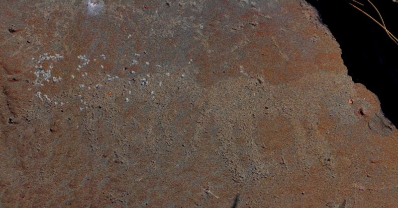 The petroglyphs of Zyngyrtas.