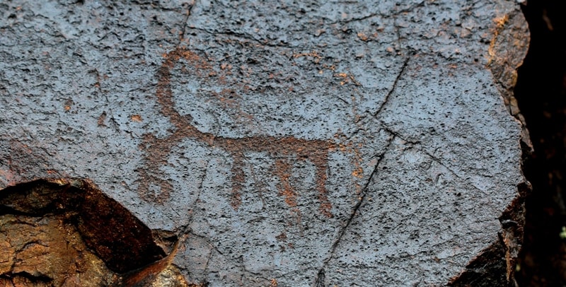 Petroglyphs Akterek. 