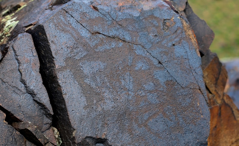  Petroglyphs Akterek. 