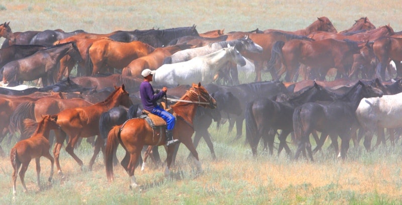 The sights of valley Akterek.