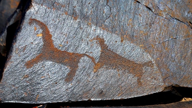 Animals. Petroglyphs the Bayan-Zhurek.