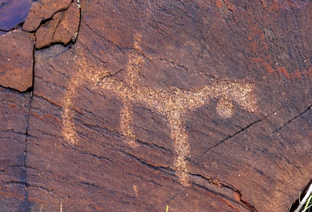 The Person on a horse. Petroglyphs the Bayan-Zhurek.