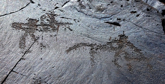 The Stage of hunting. Petroglyphs the Bayan-Zhurek.