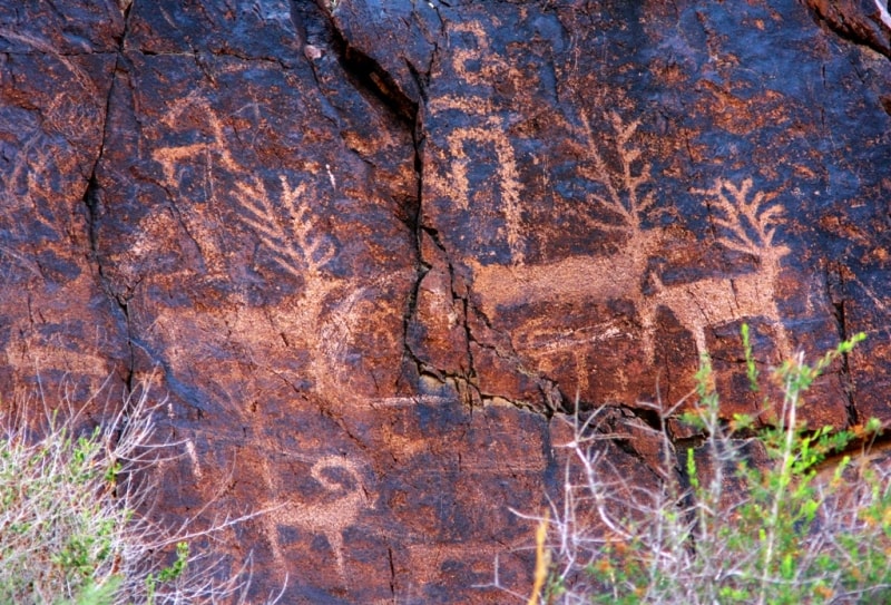 Dardamty petroglyphs.