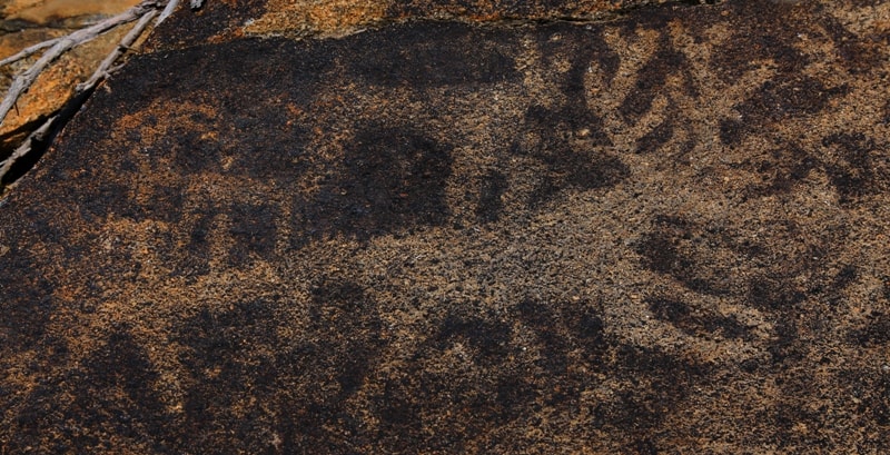 Petroglyphs of Almaty region.
