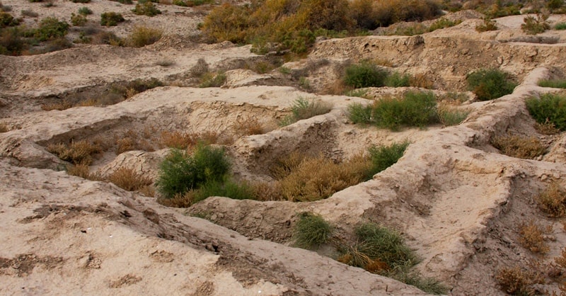 Ruins of the ancient settlement Zhankent. Kyzylorda Region.