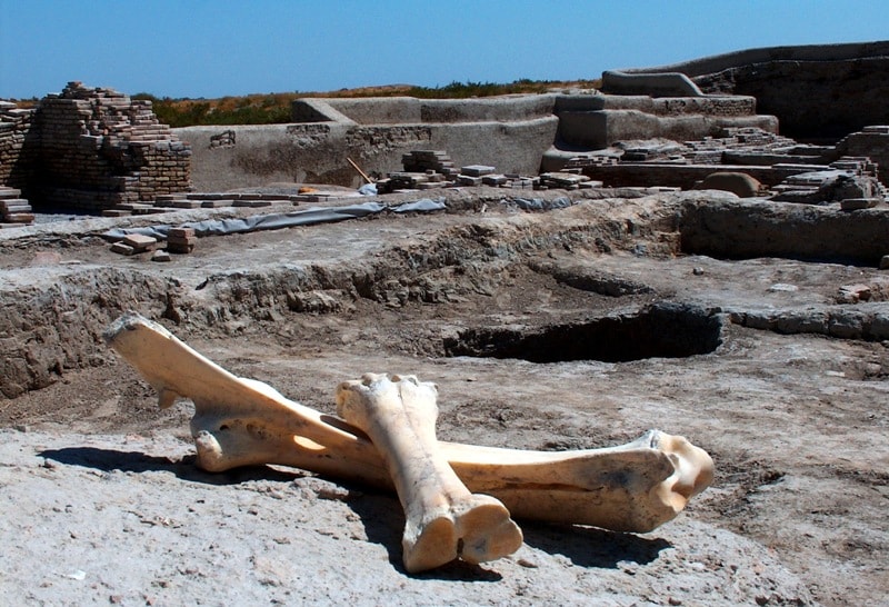 Site of ancient settlement Otrar.
