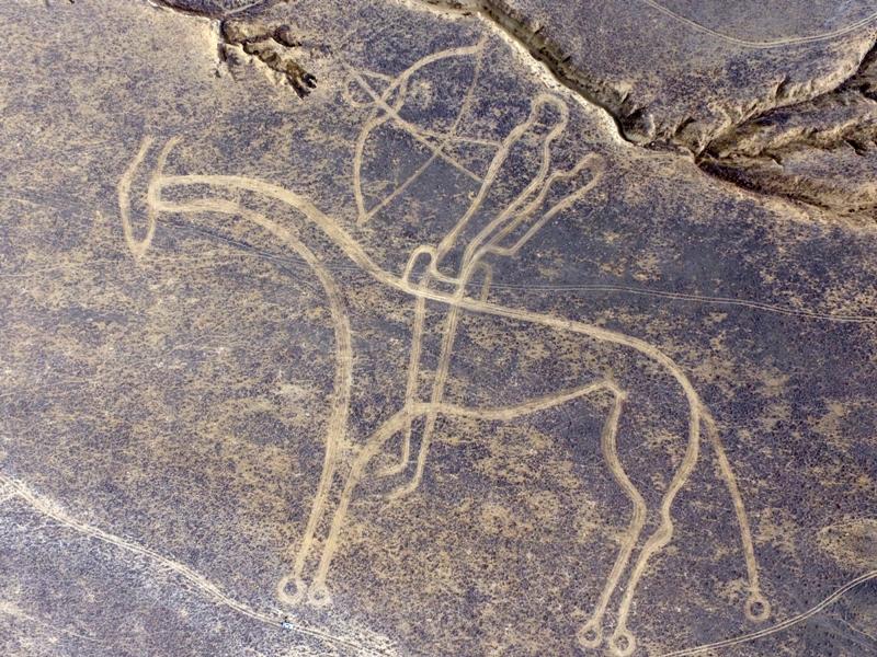 Centaur of steppes. 