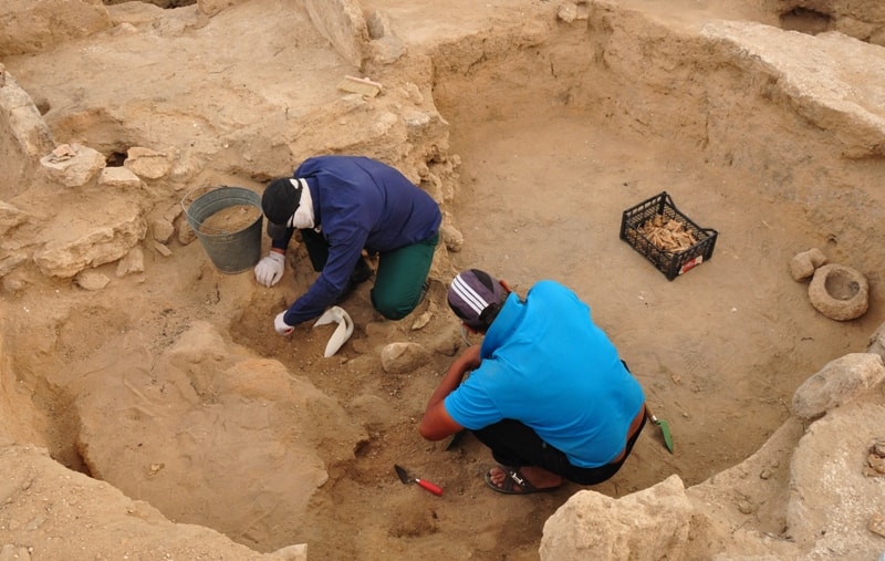 Археологические раскопки на городище Кетиккала.