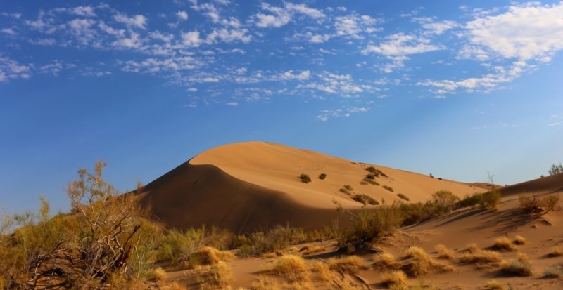 Гора из поющего песка. Национальный парк Алтын-Емель. Алматинская область.