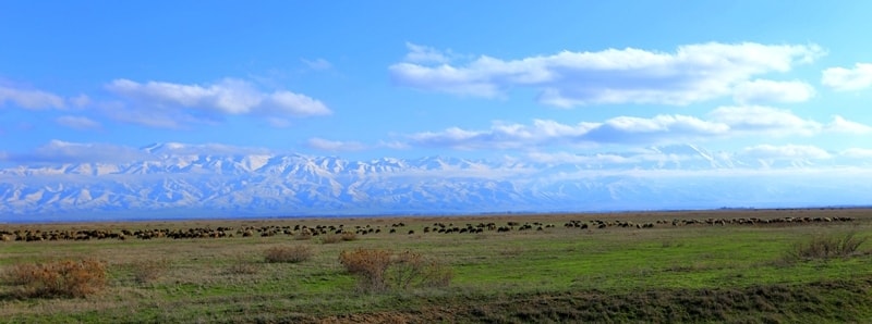 Talasskiy Alatau mountains. Vicinities of national natural park Aksu-Zhabagly.