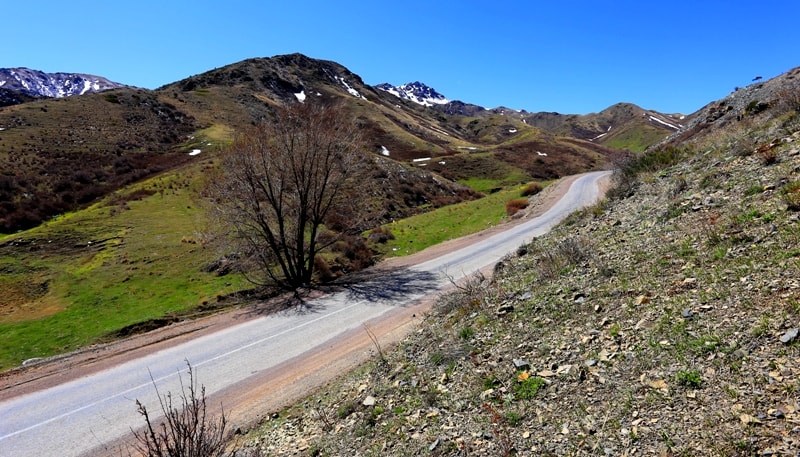 Дорога в горах Алтын-Емель.