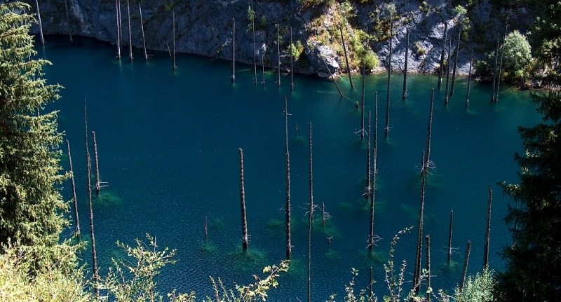 Kaindy lake. Almaty province. Southern Kazakhstan.