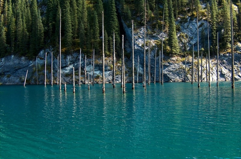 Kaindy lake. Almaty province. Southern Kazakhstan.