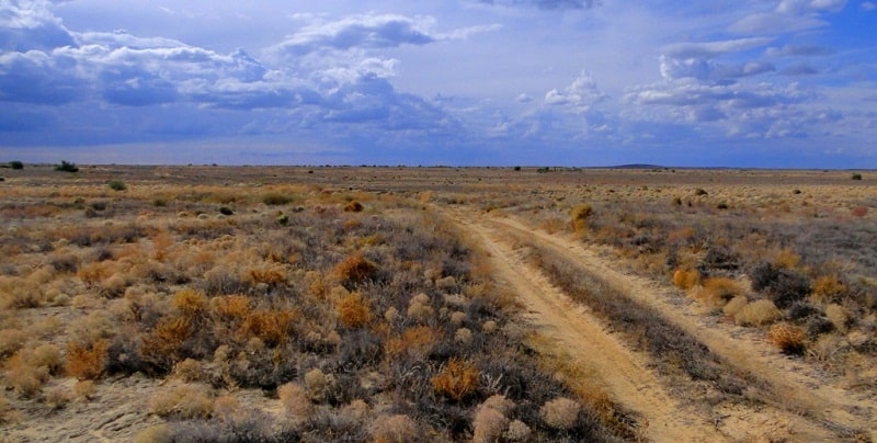 Environs of the desert Betpak-Dala.