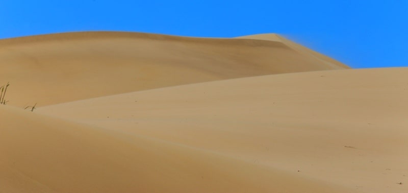 В пустынях Бетпак-Далы.