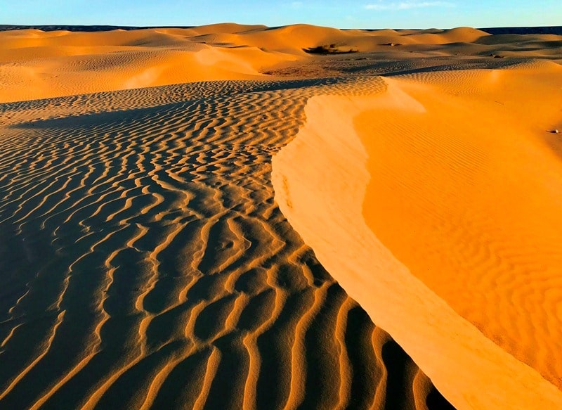 В пустынях Бетпак-Далы.