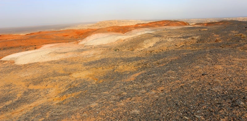 Природа пустынь Казахстана.