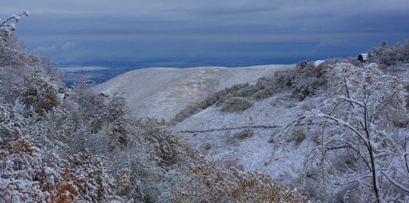 Winter. A kind on city Almaty.