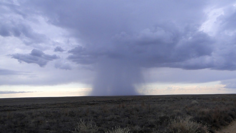 Rain in steppe.