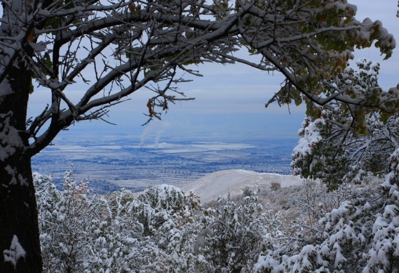 Kind on city after a snow.